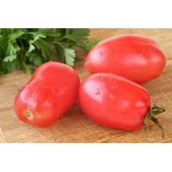 Dwarf field tomato 'Raspberry Bosun' - medium early variety, recommended for preserves 