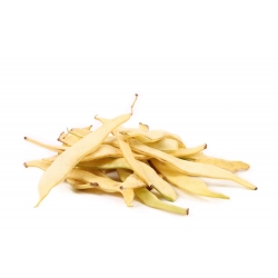 Francúzske fazuľa „Goldmarie“ - široké struky - 100 g -  Phaseolus vulgaris - semená