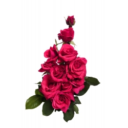 Veľkokveté ruže - tmavo ružové - kvetináče v kvetináči - 