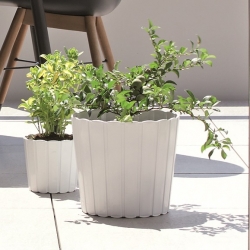 Plantador redondo "Boardee Basic" - 24 cm - branco - 