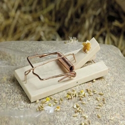 Wooden rat trap