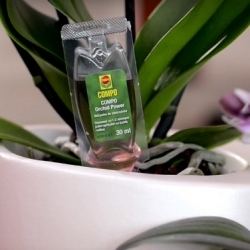 Nutriente Poder de Orquídeas - Compo® - 1 x 30 ml - 