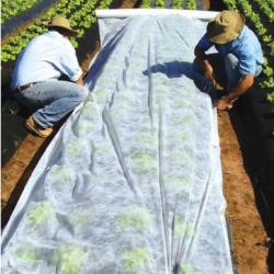 Bulu pegas (agrotextile) - perlindungan tanaman untuk tanaman sehat - 3,20 mx 10,00 m - 