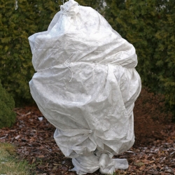 White winter fleece (agrotextile) - protects plants from frost - 1.60 x 50.00 m