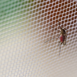 Fekete szúnyogháló 150 x 180 cm - védelem a szúnyogok és más repülő rovarok ellen - 