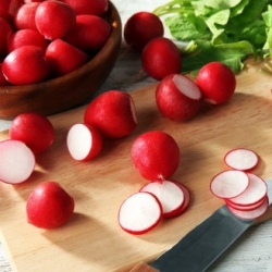 Radish "Saxa Polana" - for field, greenhouse and tunnel cultivation - 850 seeds