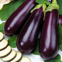 Aubergine - Bakłażan Violetta Lunga 3 -  Solanum melongena - frø