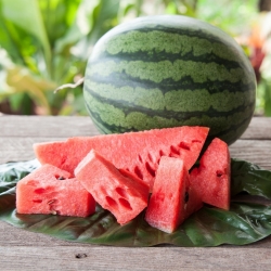 Watermelon "Klondike" - late variety