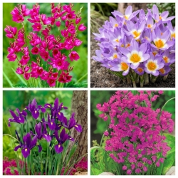 الربيع الإبداعي - مجموعة من 4 أنواع نباتية - 350 قطعة. - 