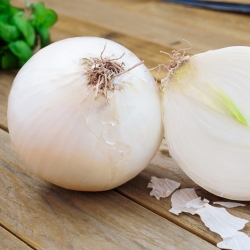 White onion "Avalon" - 750 seeds