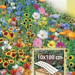 Rainbow Border - annual flowers' variety mix for boxes and edgings, 10 x100 cm mat