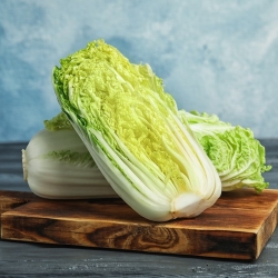 Napa cabbage 'Manoko' - early variety for cultivation under covers and in the open field
