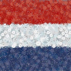 Холандска застава - семе 3 сорте цветних биљака - 