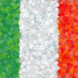 Italian Flag - seeds of 3 flowering plants' varieties