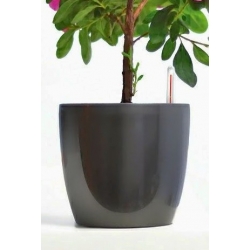 Pot tanaman "Coubi Duo" berukuran 12 cm - berwarna abu-abu - 