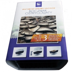 Oyster mushroom - full set with a mini greenhouse for home cultivation - 3 l