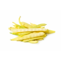 Kacang kuning kuning "Titania" - pelbagai awal - 90 biji - Phaseolus vulgaris L. - benih