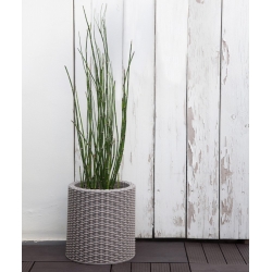 Plante en pot ronde de taille moyenne - ø 36 cm - Jardinière cylindrique - gris argenté - 