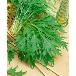 Мізуна, японська насіння гірчиці - Brassica rapa nipposinica - 1000 насінин - Brassica rapa var. Japonica