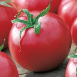 Pomidoras - Raspberry Kujawski - Lycopersicon esculentum Mill  - sėklos