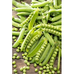 Bio 野外糖スナップエンドウ Norli 認証有機種子 シーズ Garden Seeds Market 送料無料