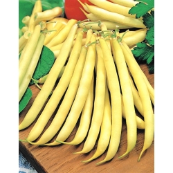 Fasole galbenă franceză "Maxidor" - soiuri gustoase și fără șuruburi - 120 de semințe - Phaseolus vulgaris L.