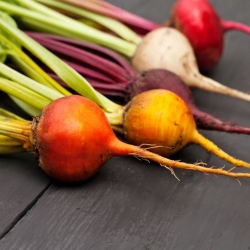 Beetroot - variety mix with multi-coloured roots - 450 seeds