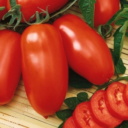 Tomaatti - Zyska - Lycopersicon esculentum Mill  - siemenet