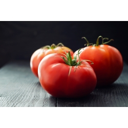 Tomate - Malinowy Ożarowski - 250 graines - Lycopersicon esculentum Mill