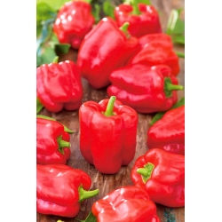 Pepper "Ozarowska" - red, sweet variety - 90 seeds