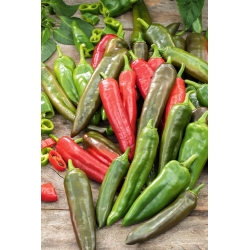 Chilli pepper "Anaheim Chili" - semi-hot variety