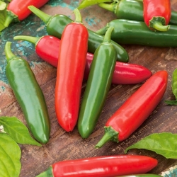 Chilli pepper "Serrano" - a hot variety