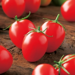 Field cherry  tomato "Principe Borghese"