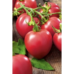 Raspberry tomato "Vintage" - no rippling
