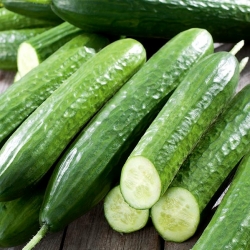 Cucumber "Gracius Gladki F1" - field variety for salads - 175 seeds