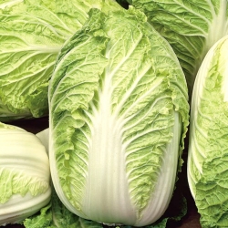 Napa cabbage "Polstar" - hybrid variety