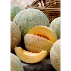 Meloen "Pineapple" - 