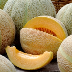 Cantaloupe "Ananas" - 