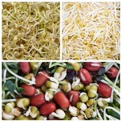 Sprouting seeds - Body strengthening selection