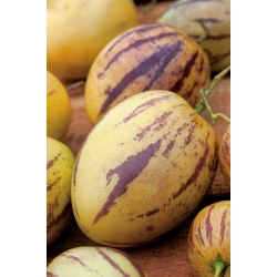 Hruška melónová, semená Pepino - Solanum muricatum - 11 semien