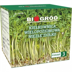 Multilevel sprouter - "Niezłe Ziółko" (Some good herb)