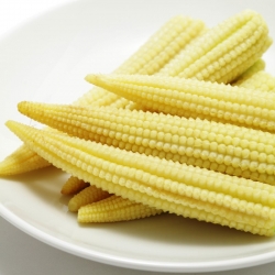 Kukuřice cukrová "Minigold"; Kukuřice cukrová, kukuřice - Zea mays convar. saccharata var. Rugosa - semena