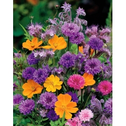 芳香性の花を持つ植物の選択-大パッケージ-125 g - 