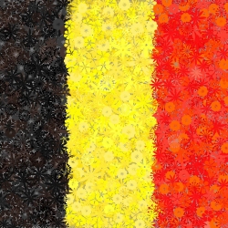 Belga zászló - 3 fajtájú mag -  - magok