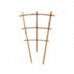 Bamboo plant support ladder S3 - 75 cm