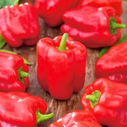 Red sweet 'Ożarowska' pepper - 10 g