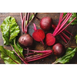 Red beetroot "Crimson" - COATED SEEDS