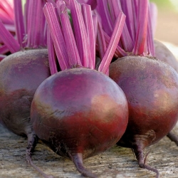 Red beetroot "Mars F1" - dark red with smooth skin