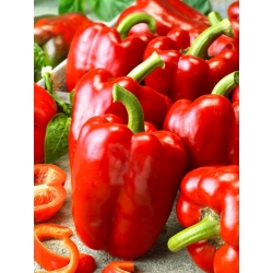 Sweet Pepper "Granova" - field, green-yellow variety that turns red when ripe - 70 seeds