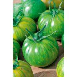 Tomato Green Zebra seeds - Lycopersicon lycopersicum
